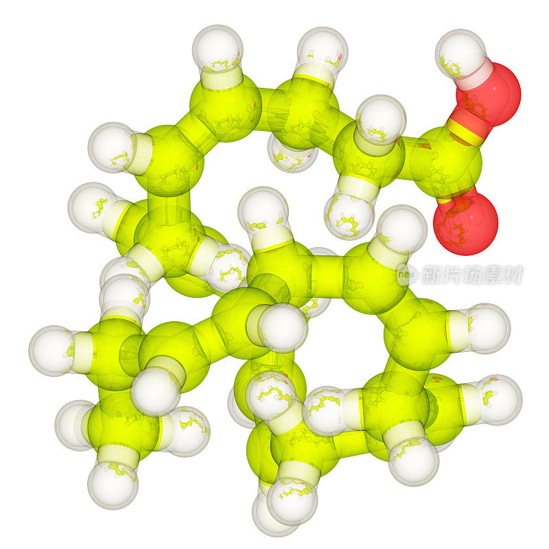 药物模型：欧米茄-3 DHA